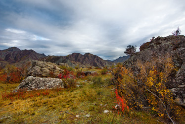 Similar image 21711948