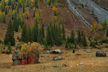 Similar image 21711951