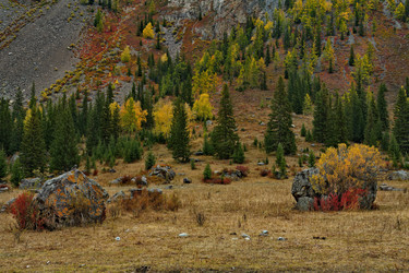 Similar image 21711952