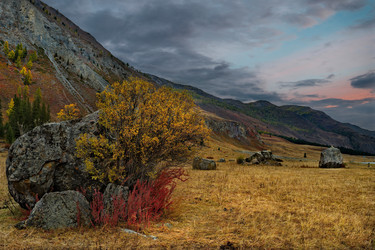 Similar image 21711955