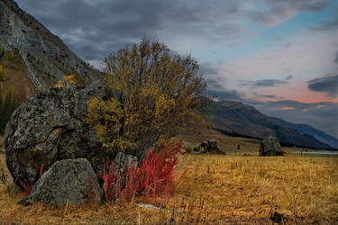 Similar image 21711956