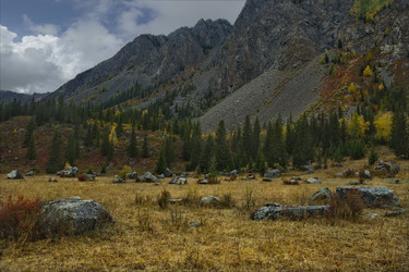 Similar image 21711958