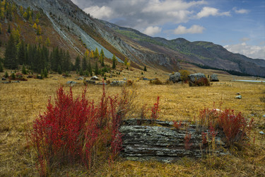 Similar image 21711961