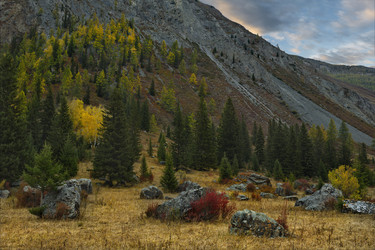 Similar image 21711962