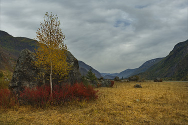 Similar image 21711963