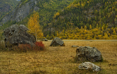 Similar image 21711965