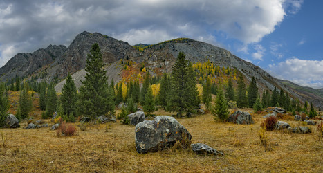 Similar image 21711966