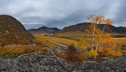 Similar image 21711967