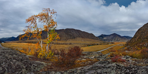 Similar image 21711968