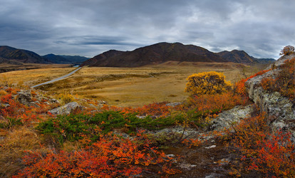 Similar image 21711969