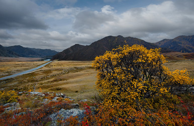 Similar image 21711970