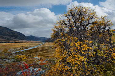 Similar image 21711971