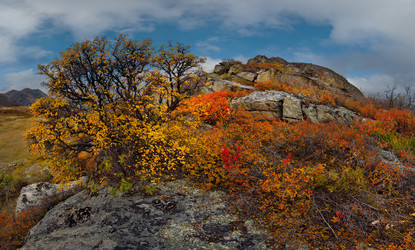 Similar image 21711972