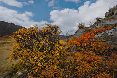 Similar image 21711973