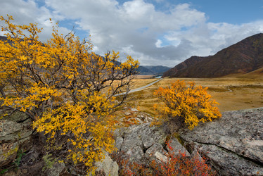 Similar image 21711975