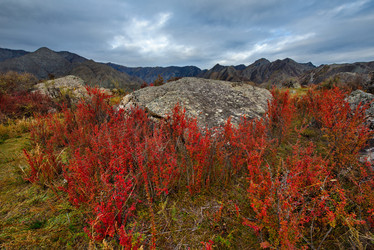 Similar image 21711979