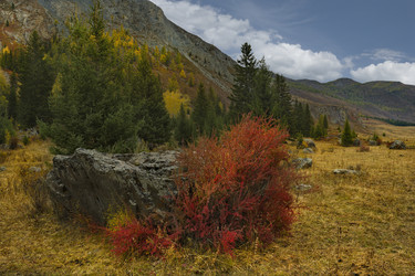 Similar image 21711980