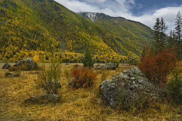 Similar image 21711981