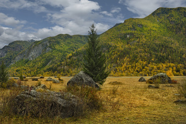 Similar image 21711982