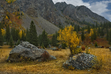 Similar image 21711985