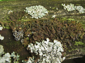 Similar image 21711719