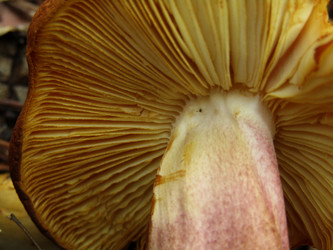 Similar image 21711721