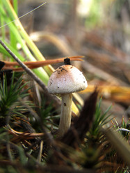 Similar image 21711887