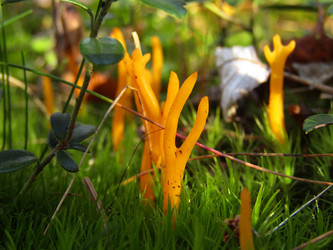 Similar image 21711889