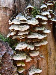 Similar image 21711890