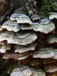 Similar image 21711891