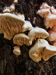 Similar image 21711892