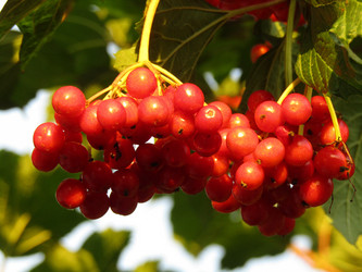 Similar image 21711894