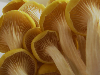 Similar image 21710247