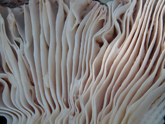 Similar image 21711897