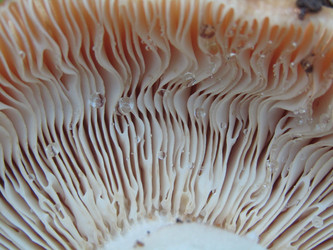 Similar image 21711898