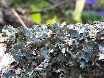 Similar image 21711899