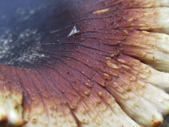 Similar image 21711902