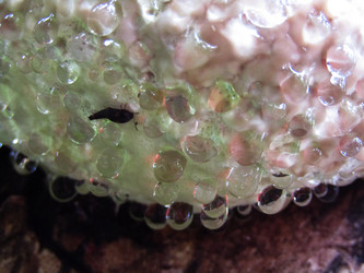 Similar image 21711986