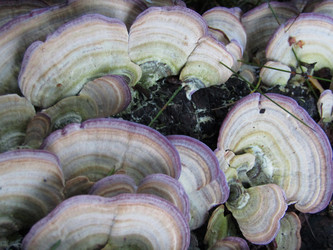 Similar image 21711987