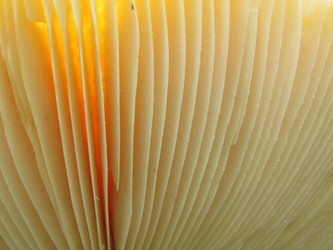 Similar image 21711989