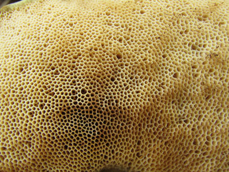 Similar image 21711990