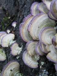 Similar image 21711991