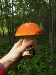 Similar image 21711992