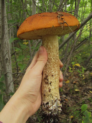 Similar image 21711993