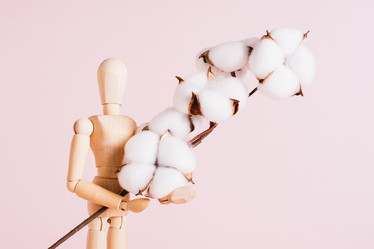 Similar image 21710262