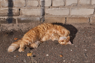 Similar image 21710573