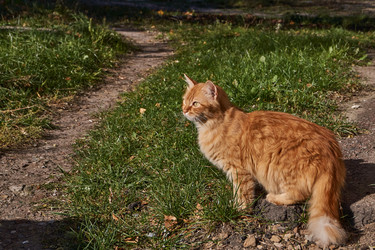 Similar image 21710574