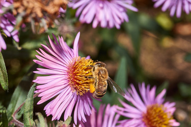 Similar image 21710575