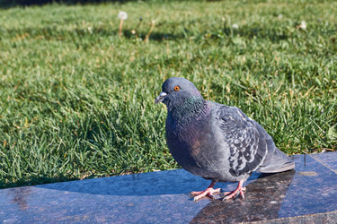 Similar image 21710576