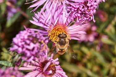 Similar image 21710578